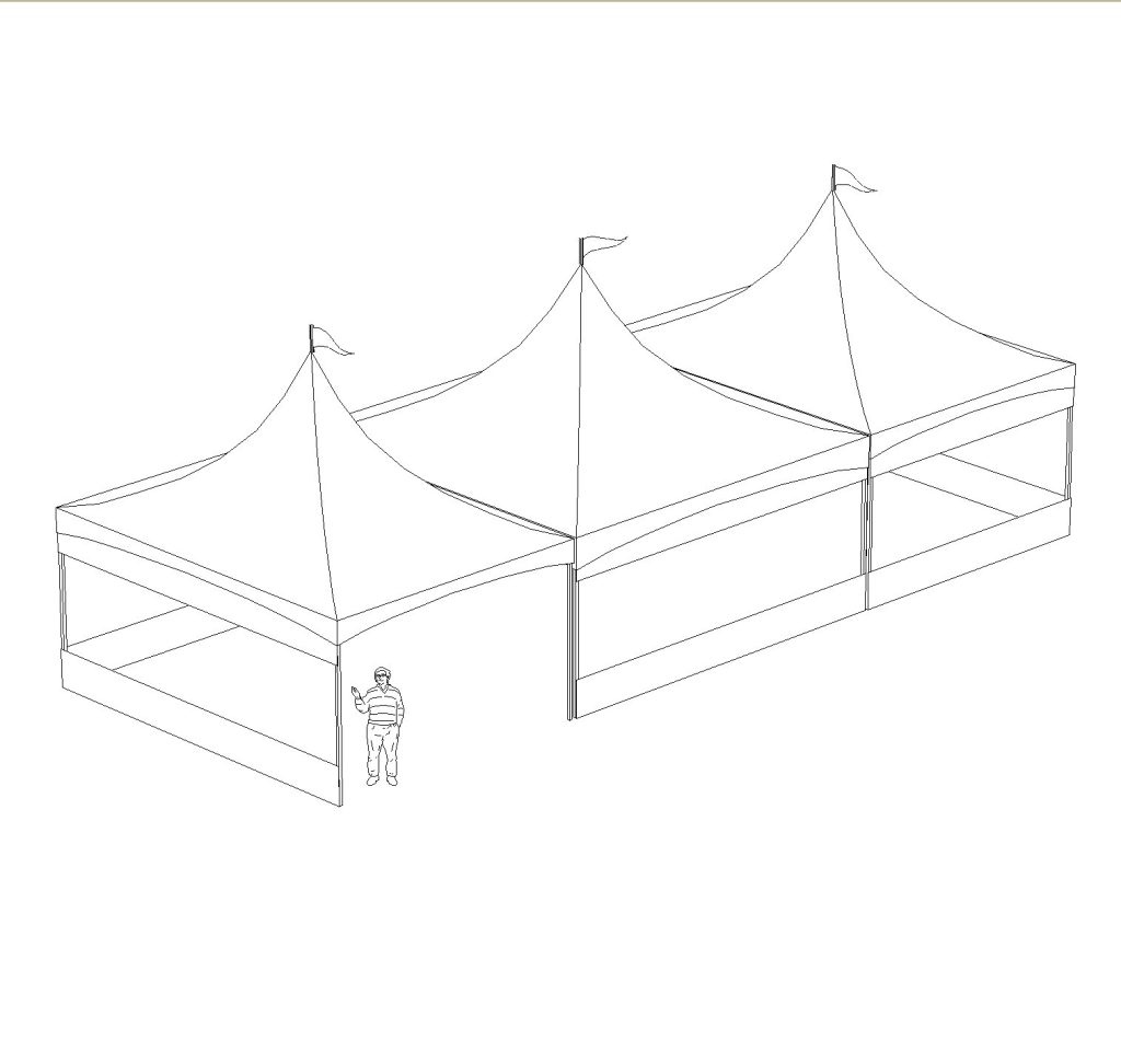 6M x 15M Pro-Matrix Marquee | Having A Party